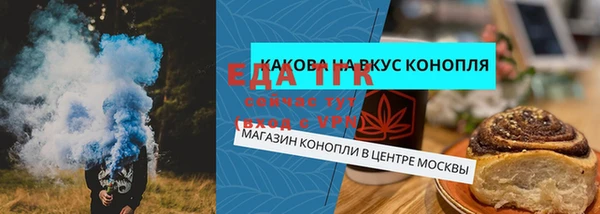шишки Верея