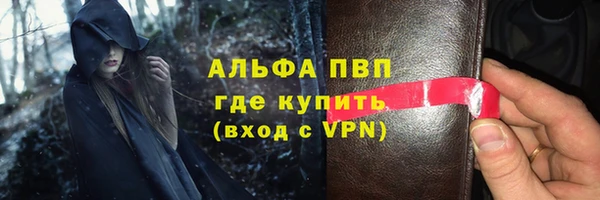 шишки Верея