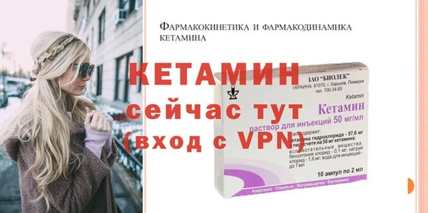 шишки Верея