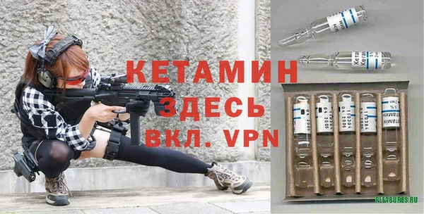 шишки Верея