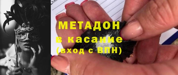 шишки Верея