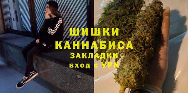 шишки Верея