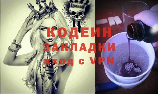 шишки Верея
